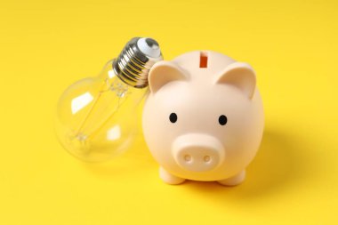 Ampul ve kumbara. Enerji ve finansman için ev ve aile kavramını, dünyayı ve enerjiyi kurtarma fikri