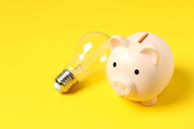 Ampul ve kumbara. Enerji ve finansman için ev ve aile kavramını, dünyayı ve enerjiyi kurtarma fikri