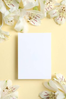 Renkli bir arkaplan üzerinde beyaz kart bulunan güzel beyaz alstroemeria.