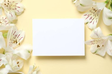 Renkli bir arkaplan üzerinde beyaz kart bulunan güzel beyaz alstroemeria.