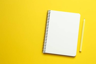 Renk arkaplanı ve üst görünümü üzerine dizüstü bilgisayarı olan düz uzandı