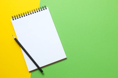 Renk arkaplanı ve üst görünümü üzerine dizüstü bilgisayarı olan düz uzandı