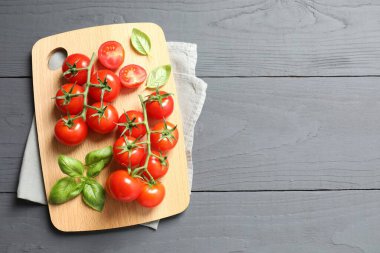 Bir demet taze kırmızı domates ve ahşap arka planda fesleğen.