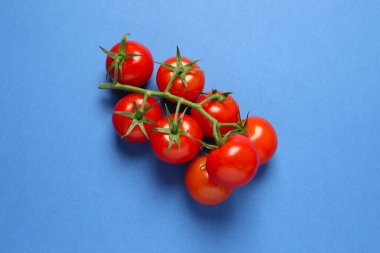 Renkli arka planda taze kırmızı domatesler, üst görünüm