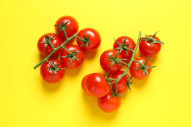 Renkli arka planda taze kırmızı domatesler, üst görünüm