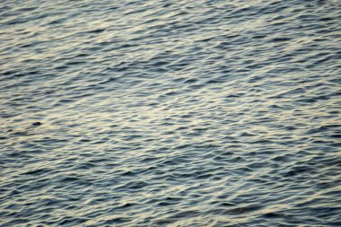  Huzurlu Okyanus ya da Deniz Dokuları, Nazik Dalgaların Soyut Görünümü. Zarif yansımaları olan huzurlu su yüzeyi. Sakin Su Dalgalanmaları Seçici odaklı Arkaplan.