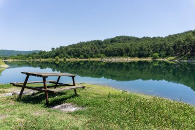 Tranquil Lakeside 'ın yanındaki ahşap bankta. Nature Reflections ile gölün kıyısında huzurlu bir piknik yeri. Seçici odaklı Yeşil Görüntü