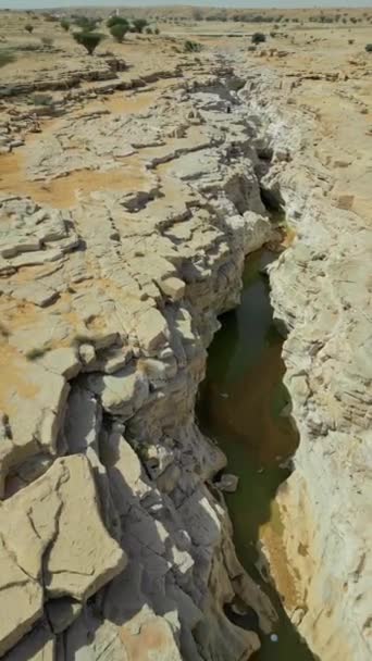 Canyon Secco Nel Deserto Dell Arabia Saudita — Video Stock