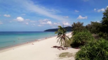 Karon plajı, ağaçlardan denize uçmak, dron, turkuaz su, kıyı şeridi. Phuket 'teki Big Karon Sahili, hava manzaralı, insansız hava aracı uçuşu, okuma suyu ve altın kum, palmiye ağaçları ve ağaçlar. Yüksek