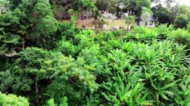 Karon bakış açısı, yeşil bitkiler, tropik bölgeler, insanlar, insansız hava aracı görüntüleri. Doymuş yeşil tropikal ormanlar, Karon, Kata, Kata Noi sahillerine bakan güzel bir gözlem güvertesi. Yüksek