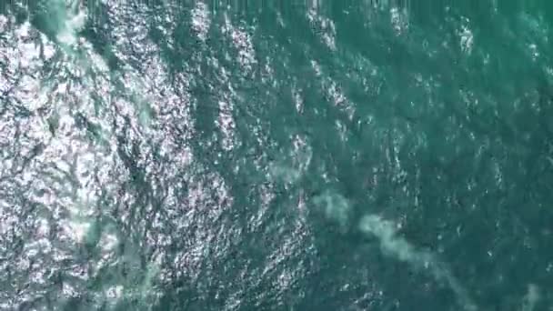空中拍摄的大海 晶莹清澈的水 菲菲群岛 在阳光下玩绿松石 乘船游览 高速的头发和长尾 照片区 美丽的泰国自然 图库视频片段