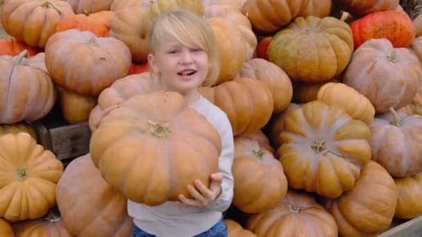 Щаслива Маленька Блондинка Тримає Руках Гарбуз Тлі Купи Зібраних Гарбузів — стокове відео