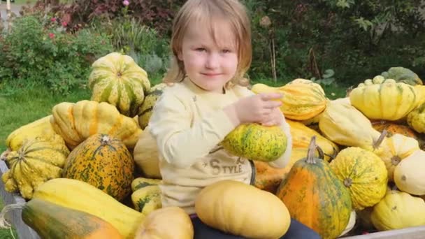 Dwie Małe Dziewczynki Siedzą Żółtych Dyniach Szczęśliwego Dzieciństwa Farmie Sezon — Wideo stockowe