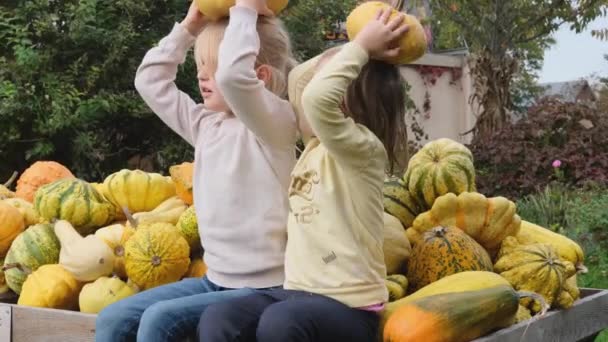 Dwie Szczęśliwe Dziewczynki Siedzą Żółtych Dyniach Trzymają Dynię Głowie Szczęśliwego — Wideo stockowe