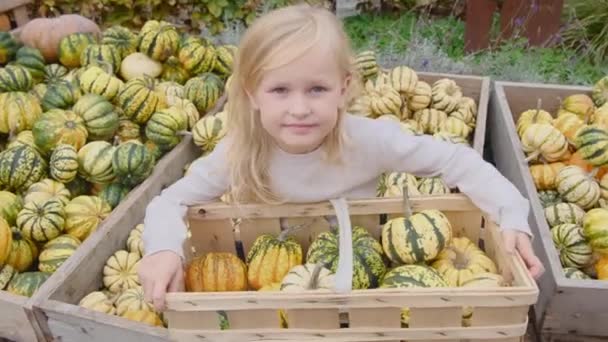 那个金发碧眼的小女孩拿着一篮子小南瓜 南瓜季节 收获季节 — 图库视频影像