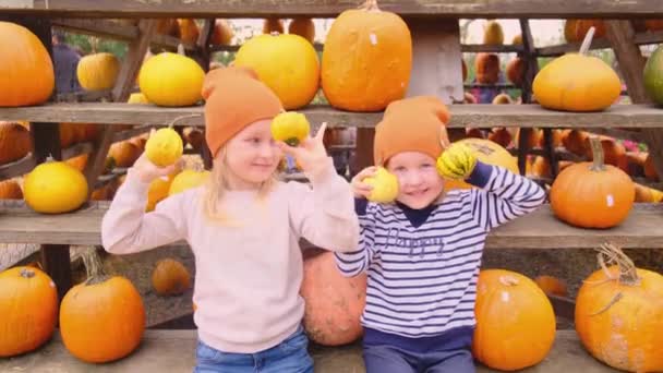 Dwie Młodsze Siostry Trzymające Dynie Rękach Jesiennym Jarmarku Dyń Sezon — Wideo stockowe