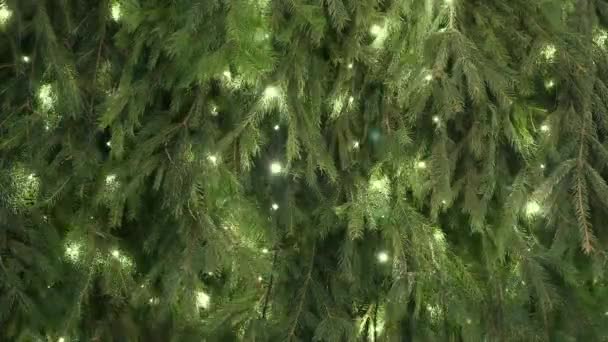 Новый Год Рождество Зеленые Ветки Елки Мерцающими Желтыми Огнями Падающим — стоковое видео