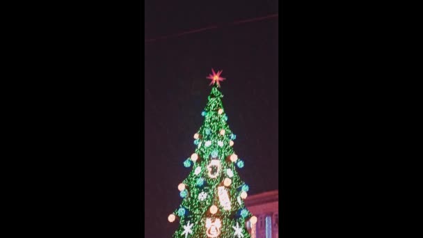 美丽的圣诞树在夜晚的广场上闪闪发光 星星闪烁 — 图库视频影像