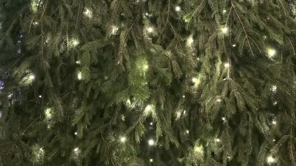 Yeni Yıl Noel Arkaplanı Yanıp Sönen Sarı Işıkları Düşen Karla — Stok video