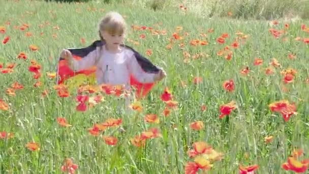 ドイツ国旗を背負った少女が 夏にケシのいる小麦畑を歩いている ドイツの旗 愛国心 独立記念日 — ストック動画