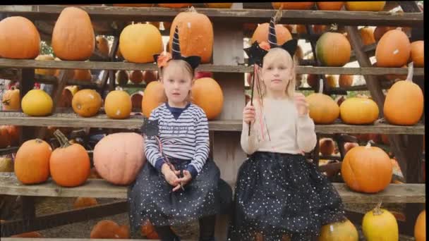 Dvě Malé Sestřičky Karnevalových Kostýmech Sedí Dýních Podzimním Dýňovém Trhu — Stock video