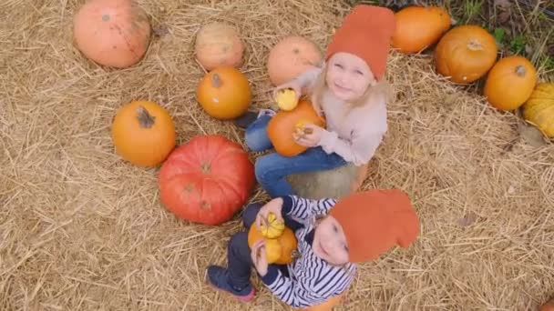 Dwie Młodsze Siostry Trzymające Dynie Rękach Jesiennym Jarmarku Dyń Sezon — Wideo stockowe