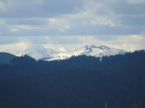 Karpat Dağlarındaki Dağ Zirveleri — Stok fotoğraf