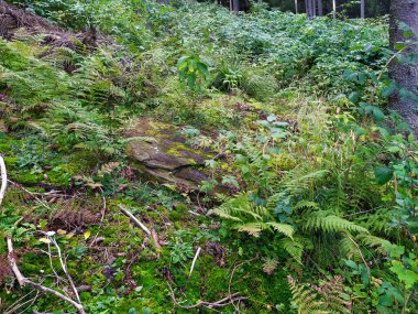 Kurbanlar için antik taş devri taşı