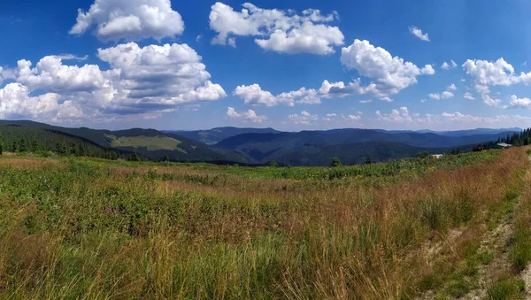 Панорама Українських Карпат Влітку Села Карпат — стокове фото