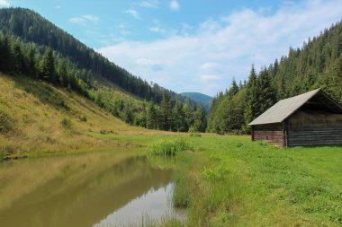 Karpatlar 'da terk edilmiş eski bir çiftlik.          