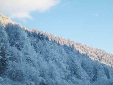 Karpatlar, Alpler ve Himalayalar 'ın dağlarında kış manzarası             