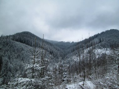 Karpatlar, Alpler ve Himalayalar 'ın dağlarında kış manzarası             