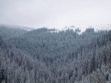 Karpatlar, Alpler ve Himalayalar 'ın dağlarında kış manzarası             