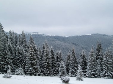 Karpatlar, Alpler ve Himalayalar 'ın dağlarında kış manzarası             