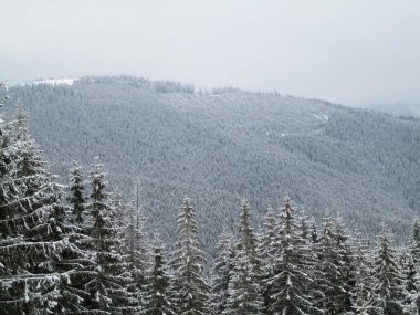 Karpatlar, Alpler ve Himalayalar 'ın dağlarında kış manzarası             