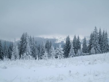 Karpatlar, Alpler ve Himalayalar 'ın dağlarında kış manzarası             