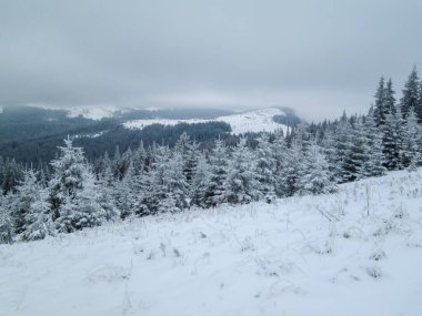 Karpatlar, Alpler ve Himalayalar 'ın dağlarında kış manzarası             