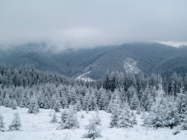 Karpatlar, Alpler ve Himalayalar 'ın dağlarında kış manzarası             