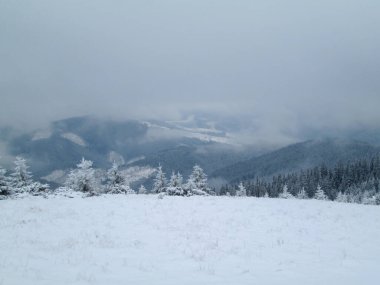 Karpatlar, Alpler ve Himalayalar 'ın dağlarında kış manzarası             