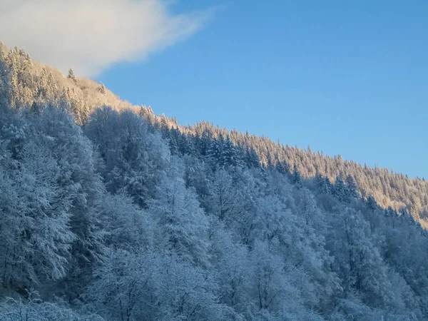 Зимний Пейзаж Горах Карпат Альп Гималаев — стоковое фото