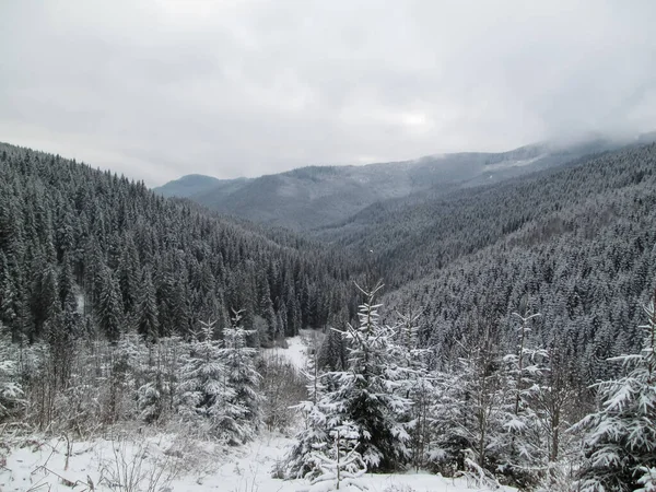 Зимовий Пейзаж Горах Карпат Альп Гімалаїв — стокове фото