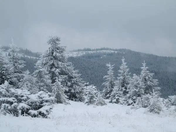 Зимовий Пейзаж Горах Карпат Альп Гімалаїв — стокове фото