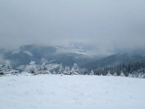 Zimowy Krajobraz Górach Karpat Alp Himalajów — Zdjęcie stockowe