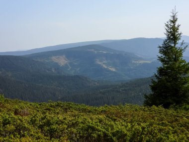 Karpatlar, Alpler ve Himalayalar 'ın dağlarındaki altın sonbaharın güzel manzaraları.