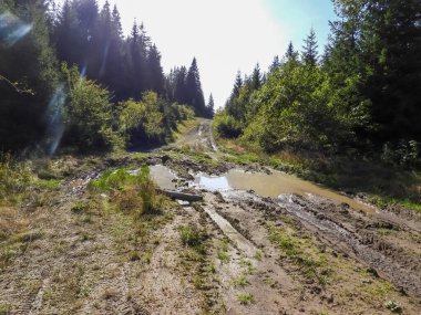 Karpatlar 'daki pitoresk dağ yolu.       