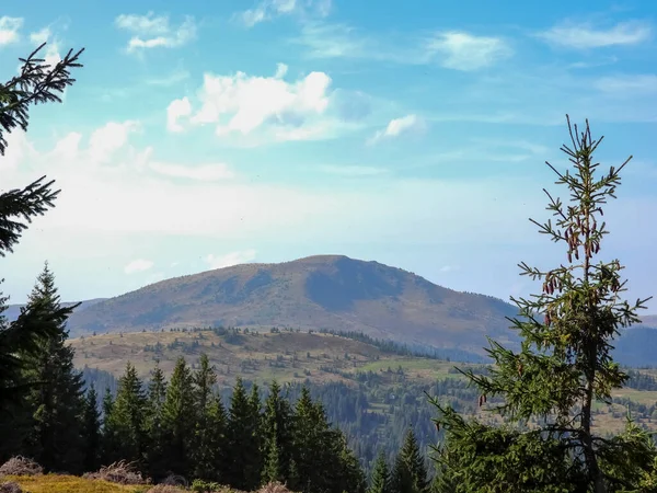 Schilderachtige Prachtige Landschappen Van Gouden Herfst Bergen Van Karpaten Alpen — Stockfoto