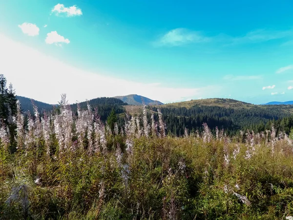 喀尔巴阡山脉 阿尔卑斯山和喜马拉雅山脉的金秋风景秀丽 — 图库照片