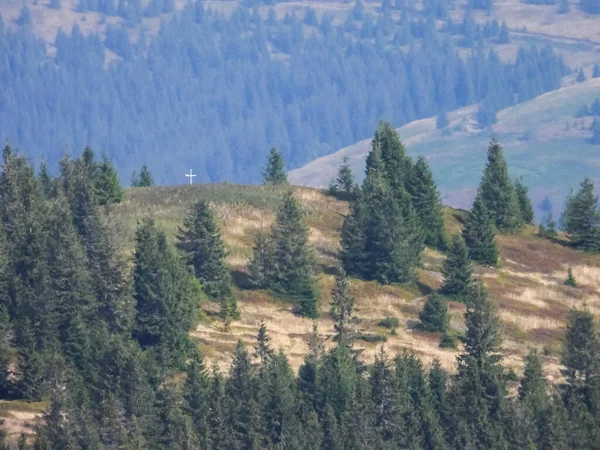 Schilderachtige Prachtige Landschappen Van Gouden Herfst Bergen Van Karpaten Alpen — Stockfoto
