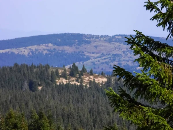 Живописные Красивые Пейзажи Золотой Осени Горах Карпат Альп Гималаев — стоковое фото