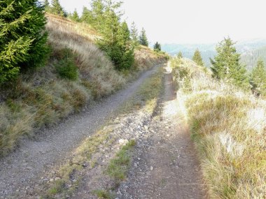 Karpatlar 'daki pitoresk dağ yolu.       